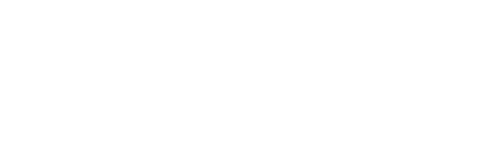 Home Movies